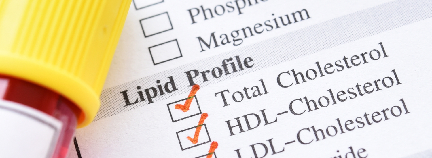 best diet for high cholesterol